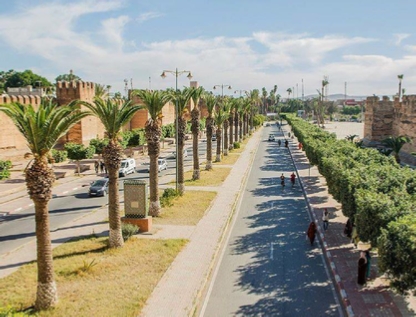 1 day excursion from Agadir to Taroudant
